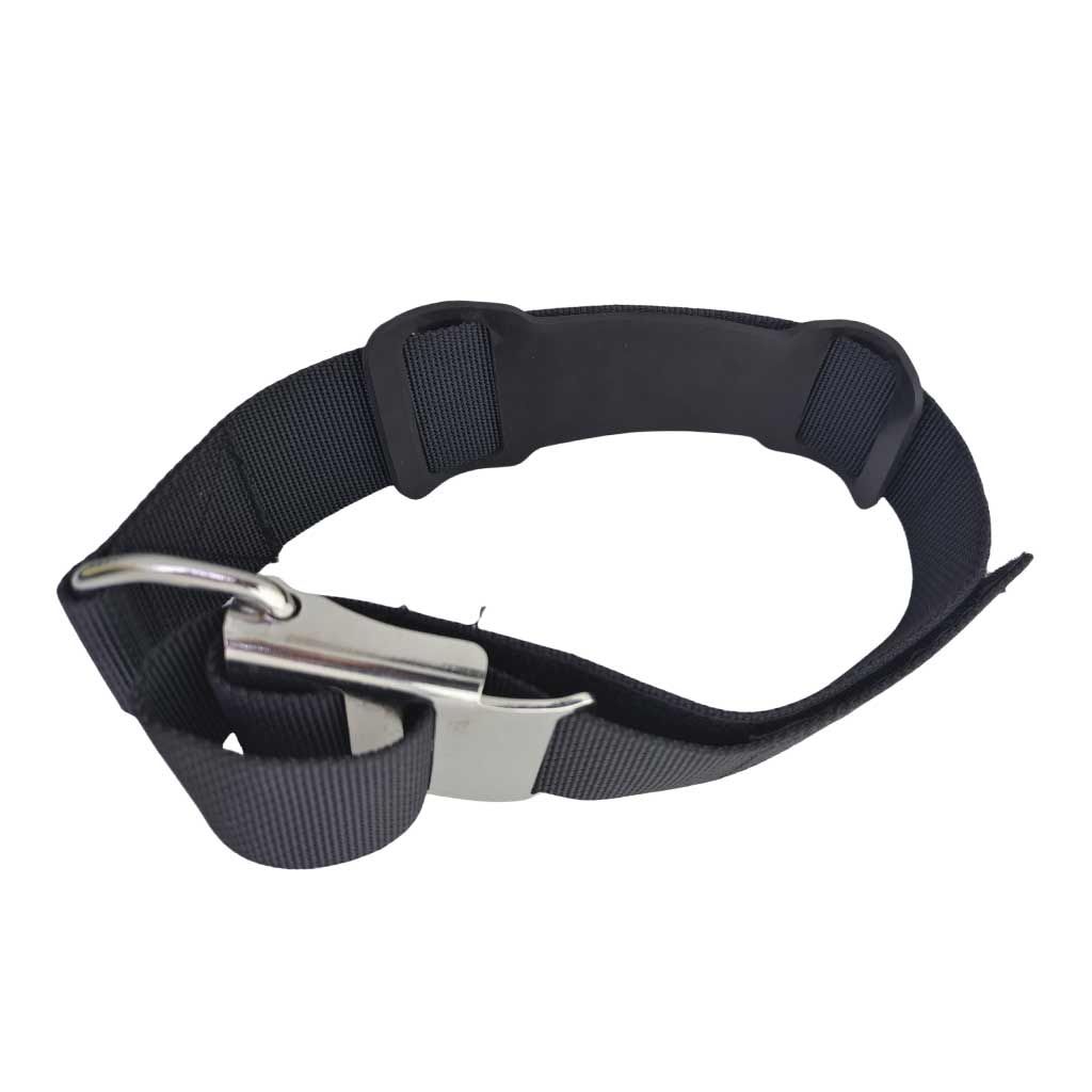Tauchen Tank Band mit SS Cam L – Aquatic Diving Bewertung und Preis